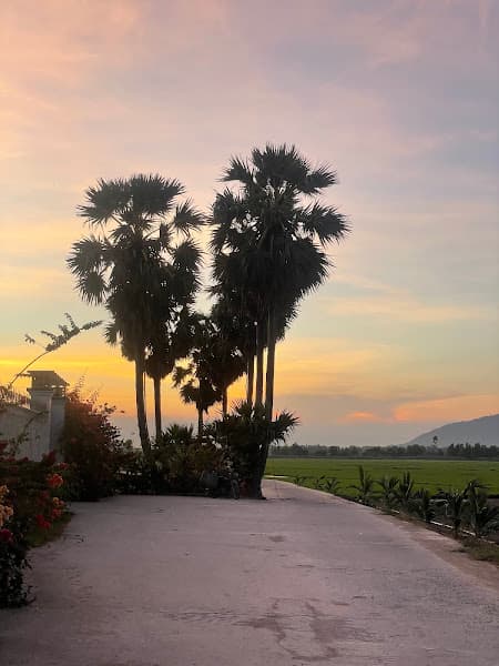 Hình ảnh Hàng Thốt Nốt Khmer Trái Tim - 2