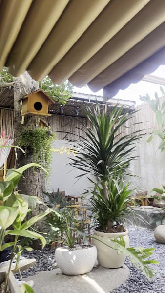 Hình ảnh Maison De Bông Café - 2