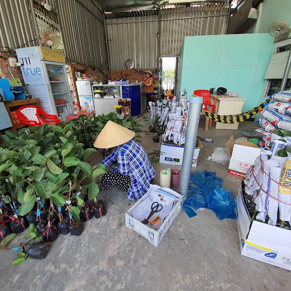 Hình ảnh Welofarm Siêu Thị Cây Giống - 4