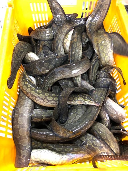 Hình ảnh Vựa cá Tầm Hải sản Cần Thơ - Hải Phú Thịnh - 3