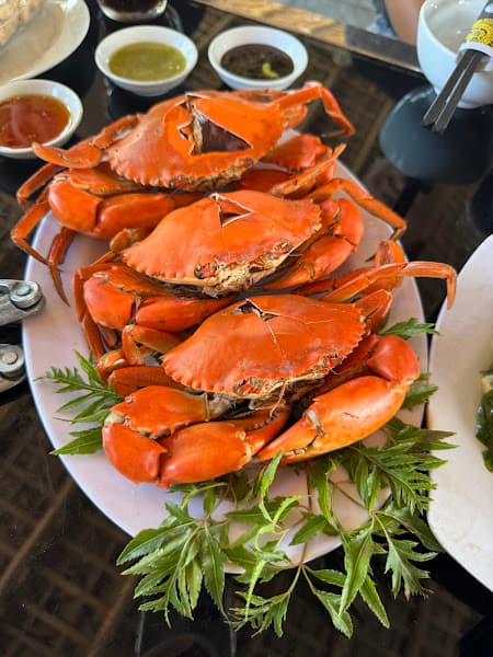 Hình ảnh Nhà hàng Sao Biển - 2