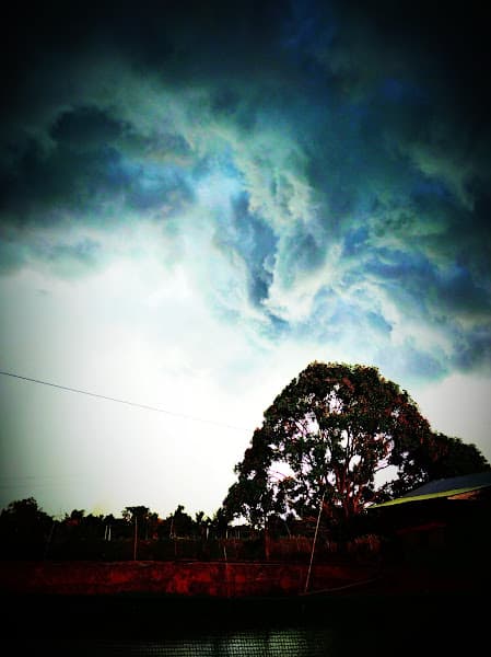 Hình ảnh Cafe Công Văn - 2