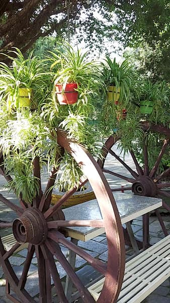 Hình ảnh Nhà Hàng Con Bò Vàng - 5