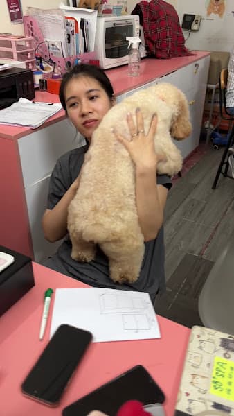 Hình ảnh LUCYPET - Petshop & Dịch vụ thú y Thái Nguyên - 2