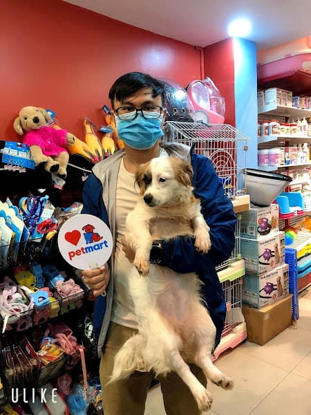 Hình ảnh Pet Mart Vĩnh Yên - Cửa Hàng Thú Cưng - 3