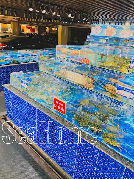 Hình ảnh Thiết kế & Thi công Bể Hải Sản Seahome - 3