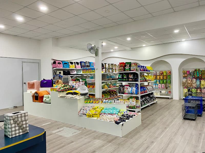 Gấu Béo - Siêu Thị Thú Cưng