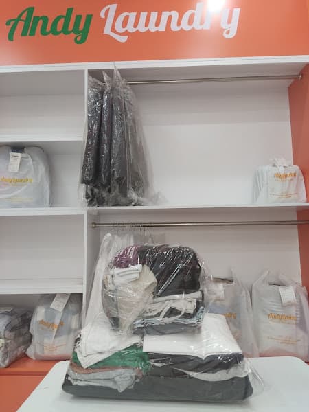 Ảnh bìa Andy Laundry