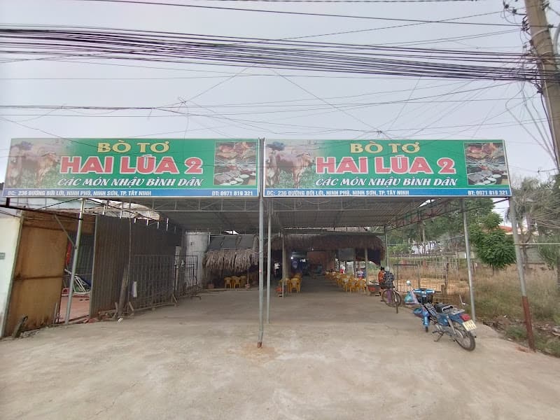 Hình ảnh BÒ TƠ 2 LÚA 2 - 5