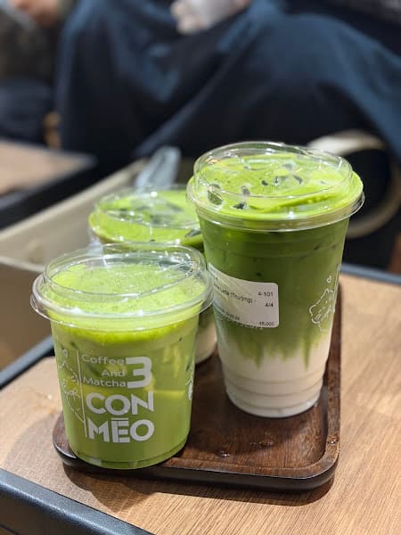 Hình ảnh 3 Con Mèo Coffee & Matcha - 2