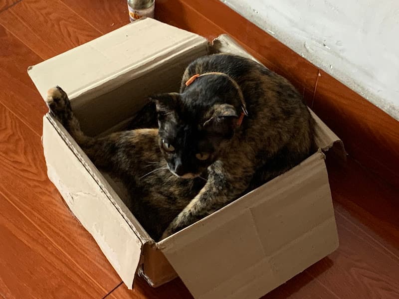 Hình ảnh Phòng khám thú y Hồ Quốc Thịnh - 3