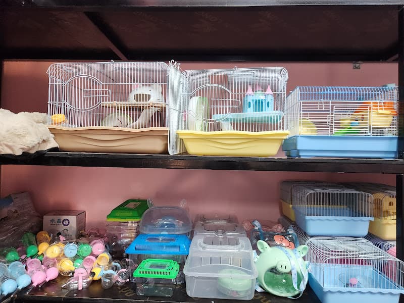 Hình ảnh Smile Pet Shop 2 - 5