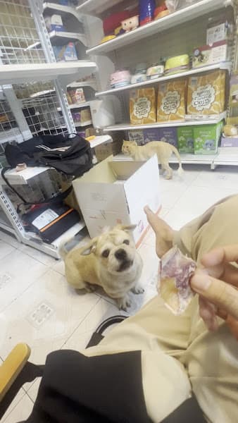 Hình ảnh Petwin Cần Thơ- Siêu Thị Thú Cưng - 3