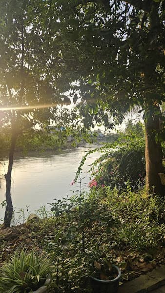 Hình ảnh Quán Hẹn - Lẩu gà nòi - 3