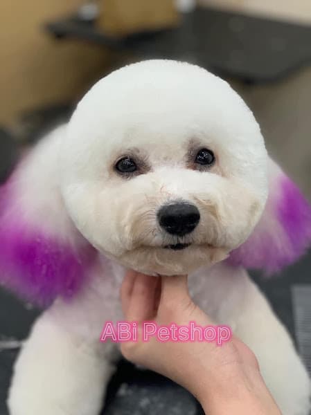 Hình ảnh ABi Petshop - 6