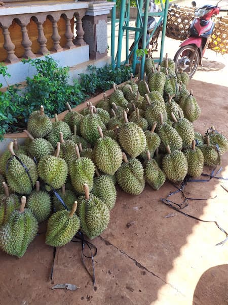 Hình ảnh Cà Phê Đại Nghĩa - 2