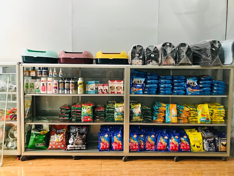 Phòng Khám Thú Y Tô Hoài