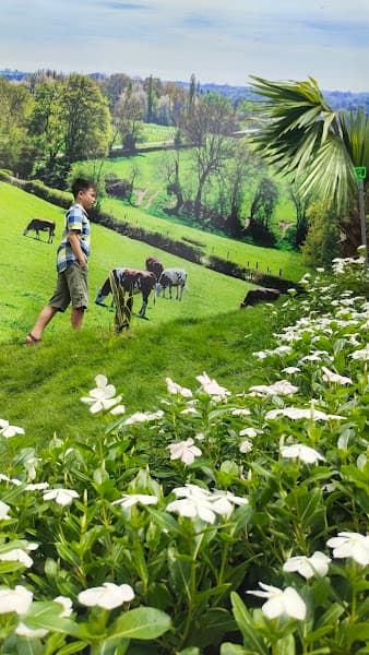 Hình ảnh Vườn Nhà Út - 3