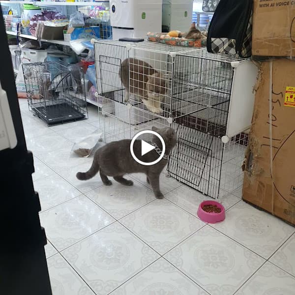 Hình ảnh Bệnh Viện Thú Y HomePet Bắc Ninh - 5