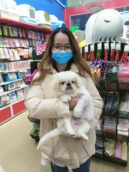 Hình ảnh Pet Mart Hải Phòng - Cửa Hàng Thú Cưng - 10