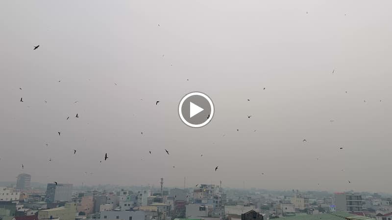 Hình ảnh Yến sào Ngọc Trân - 3