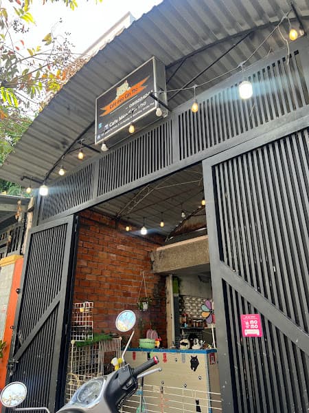 Hình ảnh Café Mèo Cần Thơ - 2