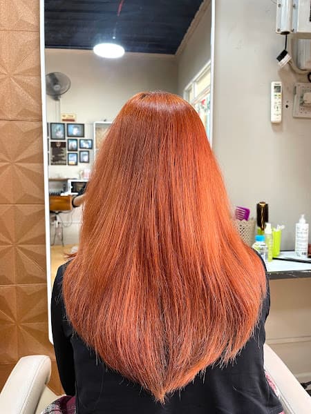 Hình ảnh TÓC ĐẠT - 3