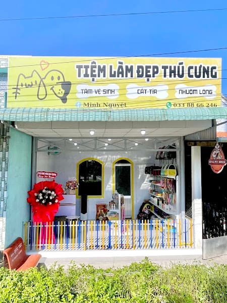 Hình ảnh Bông Pet House - Spa Thú Cưng Tiểu Cần - 5