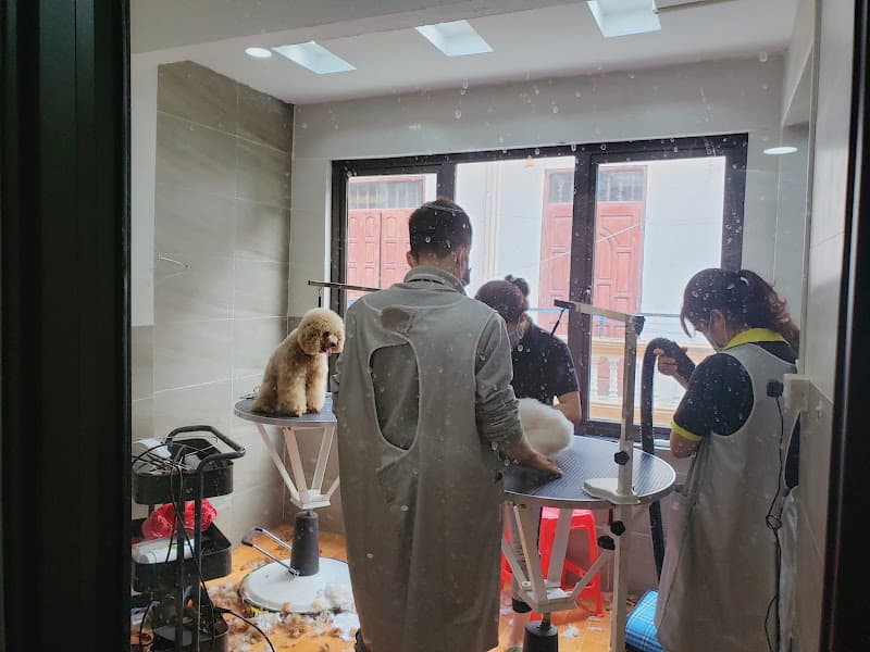 Hình ảnh Cửa Hàng Phụ Kiện Chó Mèo Thanh Nhàn - 4