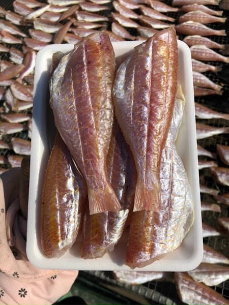 Hình ảnh Hải Sản Chuẩn Quảng Ninh - An Ớt - 5