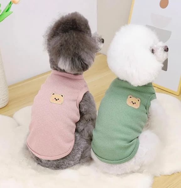 Hình ảnh Phòng Mạch Thú Y PET SU - Thú Y Long Xuyên, An Giang - 4