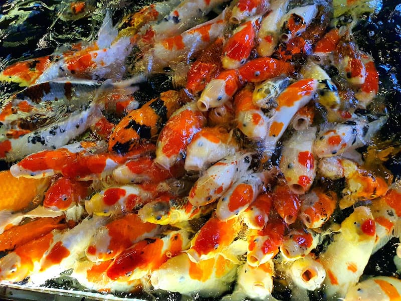 Hình ảnh Quán Cà phê Huỳnh Hương - 2