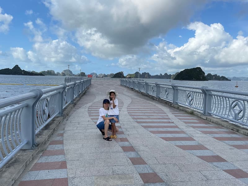 Hình ảnh Trà Sữa Hạ Long 2 - 3