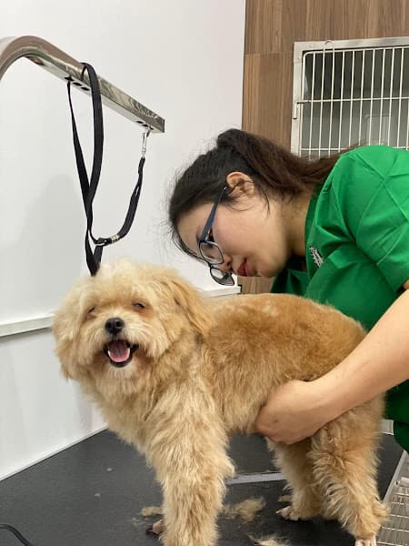 Hình ảnh Bệnh viện Thú y PetHealth Vinh - 2