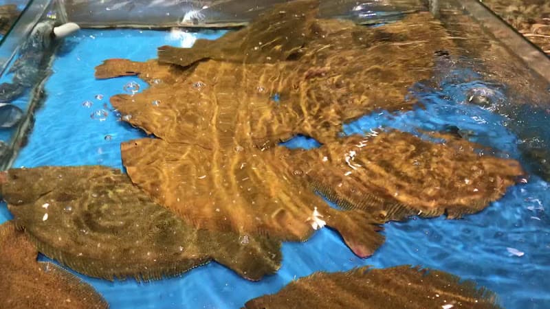 Hình ảnh Nhà hàng Tuấn Mập - 4