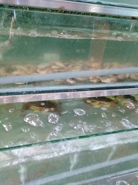 Hình ảnh Quán Hải Sản 79 Vân Đồn - 4