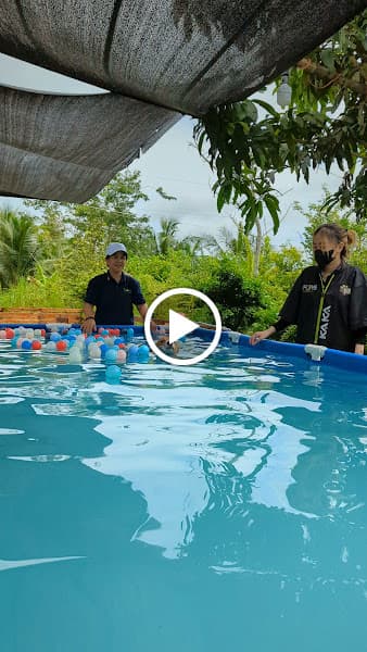 Hình ảnh KaKa - The Pets Spa & Hotel - 2