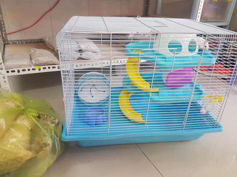 Hình ảnh PS Hamster Shop- Hamster Cần Thơ - 3