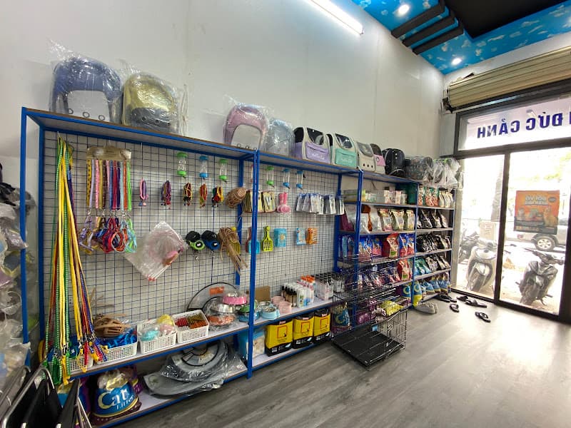 Ảnh bìa Bệnh viện Thú y K-Pet