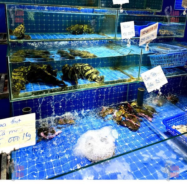 Hình ảnh Vựa Hải Sản Làng Chài - 2