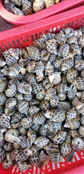 Hình ảnh Cửa hàng hải sản Quảng Ninh - 2