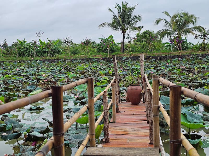 Hình ảnh Bằng Lăng Homestay - 4