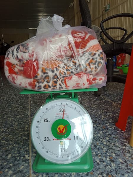 Hình ảnh Tiệm Giặt Sấy Kênh Đào - Châu Đốc - 2