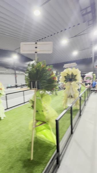 Hình ảnh YPP Pickleball Club - 2