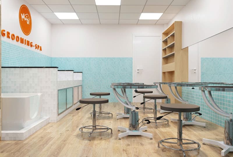 Hình ảnh Mèo Ú Hotel - Khách sạn dành cho thú cưng - Spa - Grooming- Petshop - 4