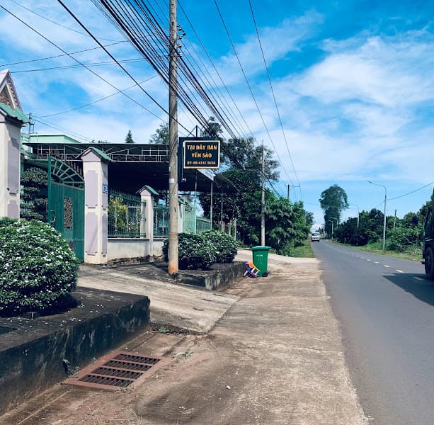Hình ảnh Yến Sào Long Khánh Đồng Nai - Nhà Yến Thành Công - 2