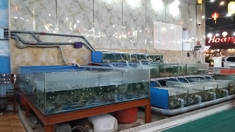 Hình ảnh Sú Biển Cà Mau - 3