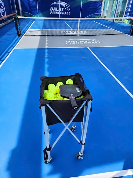 Hình ảnh Sân DALAPICK (Võ Trường Toản) - 3