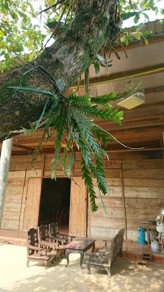 Hình ảnh Nha Hang Xuân Hương - 3