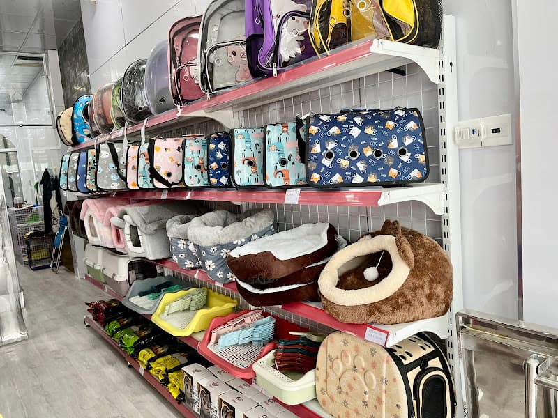 Hình ảnh Thú Y Bảo Minh Châu Sài Gòn - 4